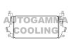 AUTOGAMMA 105666 Intercooler, charger